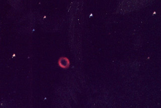 M57.jpg - 14 K